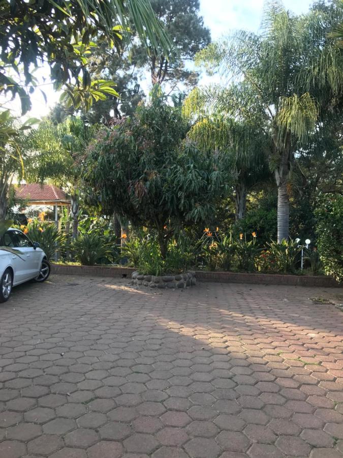 Hotel El Mirador Y Jardin 틀라야카판 외부 사진