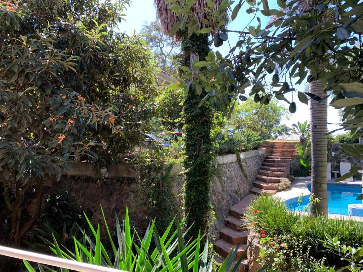 Hotel El Mirador Y Jardin 틀라야카판 외부 사진